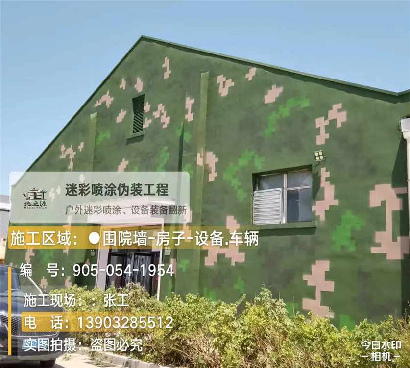 阳江外墙数码迷彩漆施工报价清单（100㎡标准墙面测算）